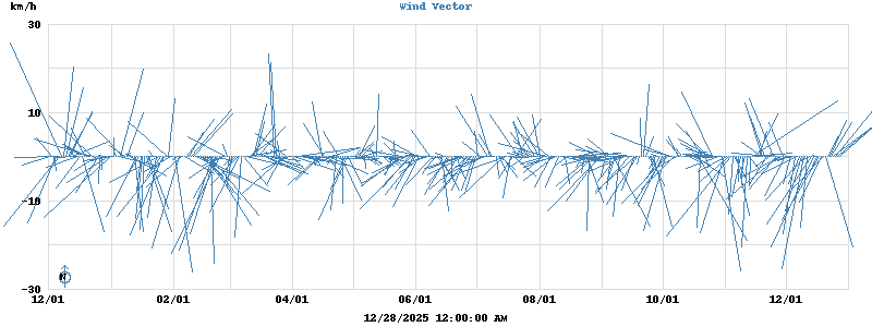 Wind Vector